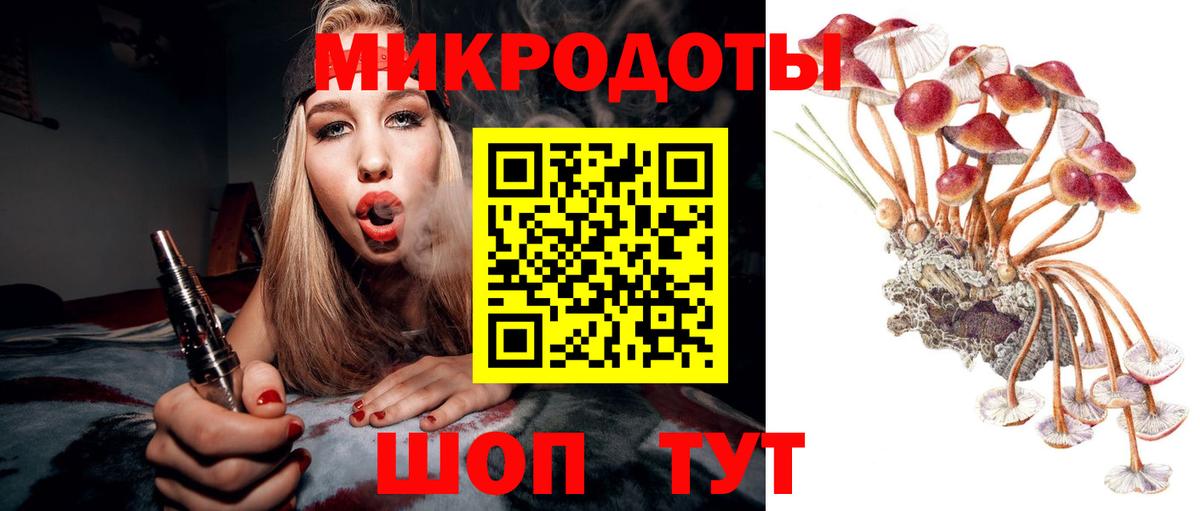 Псилоцибиновые грибы Cubensis  Вход с VPN  Троицк  Псилоцибиновые грибы Psilocybe 