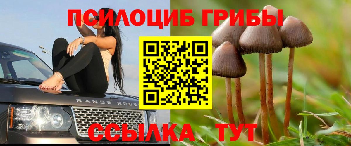 Галлюциногенные грибы мухоморы Троицк